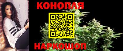 Альфа ПВП Моздок