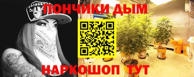 mdma Новодвинск