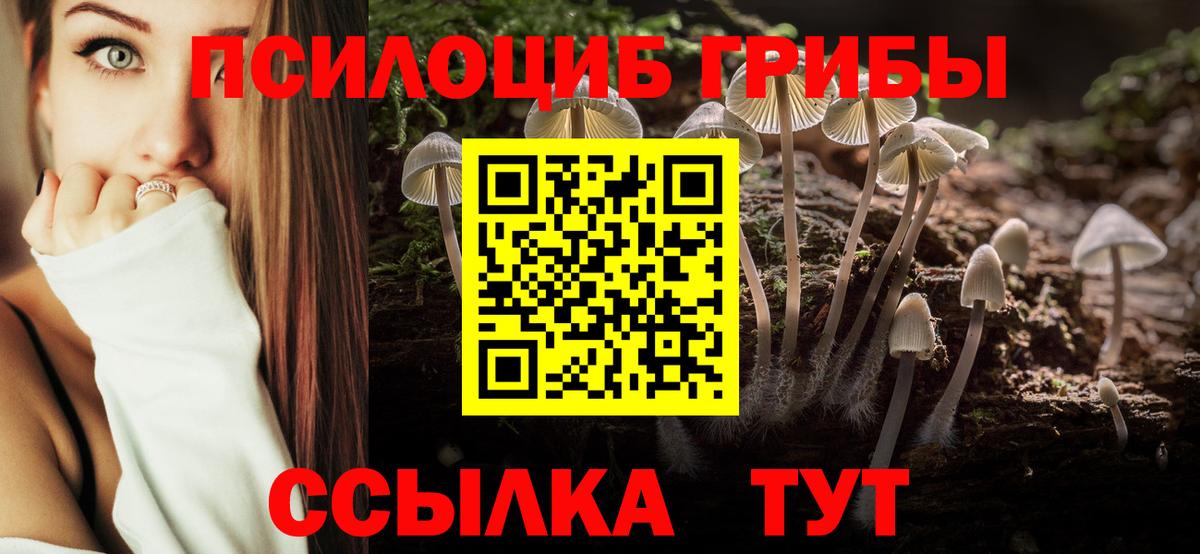 Чернушка  Галлюциногенные грибы Psilocybine cubensis  Галлюциногенные грибы мицелий  Вход с VPN 
